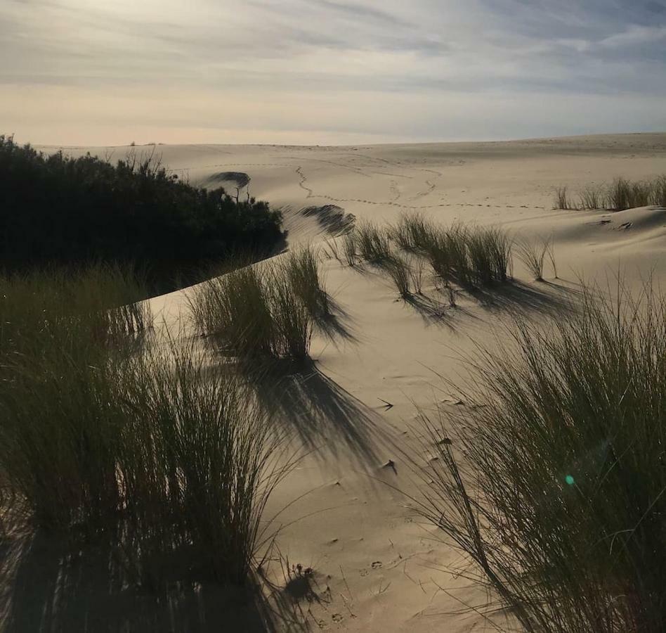 Maison A Deux Pas De L'Ocean Biscarrosse-Plage Luaran gambar